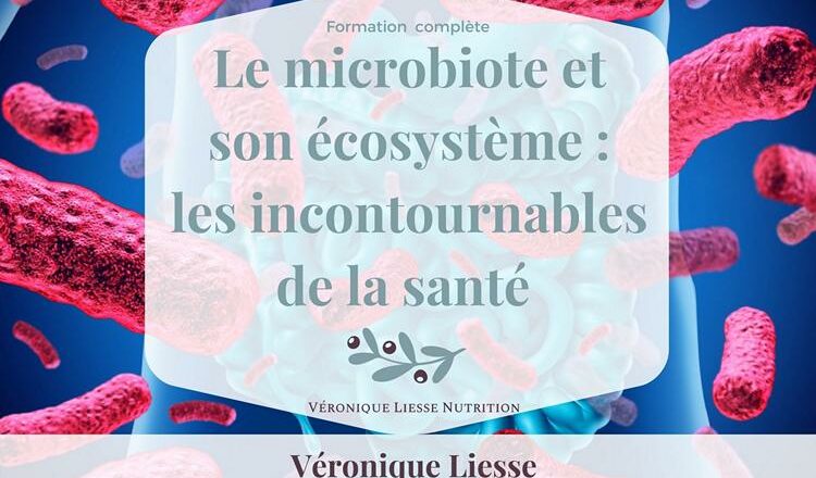 Formation Microbiote et son ecosysteme F03